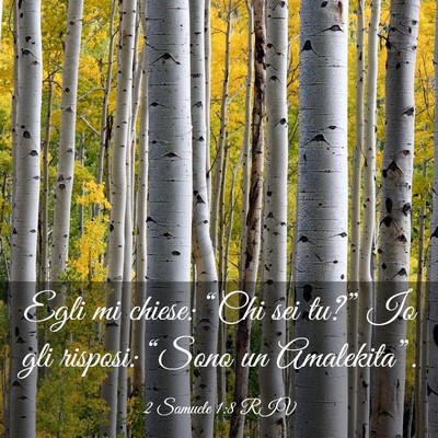 Picture 03 - 2 Samuele 1:8 RIV - Egli mi chiese: “Chi sei tu?” Io gli risposi: - Bible Verse Picture