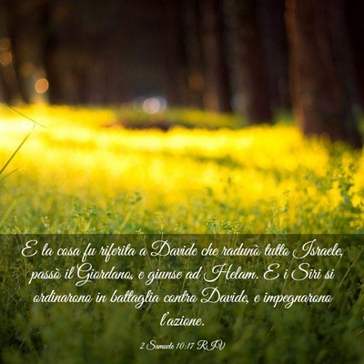Picture 03 - 2 Samuele 10:17 RIV - E la cosa fu riferita a Davide che radunò tutto - Bible Verse Picture
