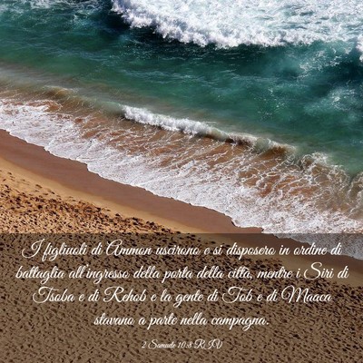 Picture 03 - 2 Samuele 10:8 RIV - I figliuoli di Ammon uscirono e si disposero in - Bible Verse Picture