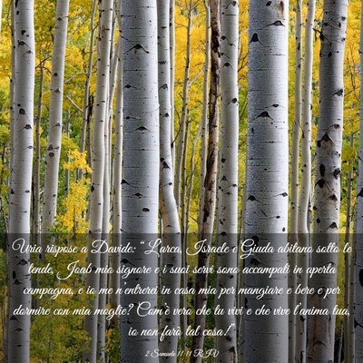 Picture 03 - 2 Samuele 11:11 RIV - Uria rispose a Davide: “L’arca, Israele e - Bible Verse Picture