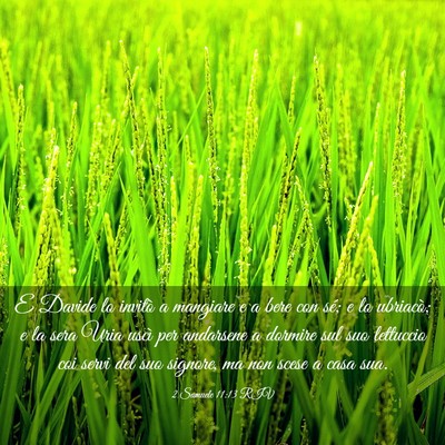 Picture 03 - 2 Samuele 11:13 RIV - E Davide lo invitò a mangiare e a bere con sé; - Bible Verse Picture