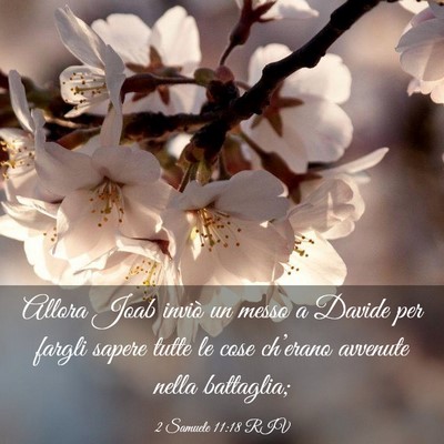 Picture 03 - 2 Samuele 11:18 RIV - Allora Joab inviò un messo a Davide per fargli - Bible Verse Picture