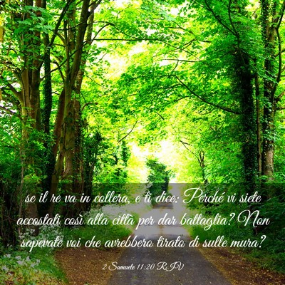 Picture 03 - 2 Samuele 11:20 RIV - se il re va in collera, e ti dice: Perché vi - Bible Verse Picture
