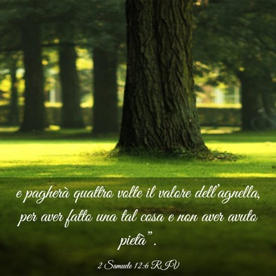 Picture 03 - 2 Samuele 12:6 RIV - e pagherà quattro volte il valore - Bible Verse Picture