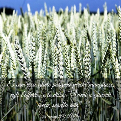 Picture 03 - 2 Samuele 13:11 RIV - E com’essa gliele porgeva perché mangiasse, - Bible Verse Picture