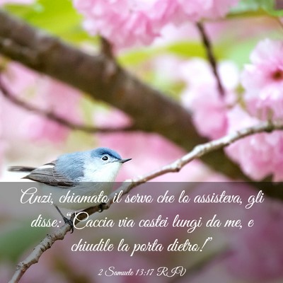 Picture 03 - 2 Samuele 13:17 RIV - Anzi, chiamato il servo che lo assisteva, gli - Bible Verse Picture