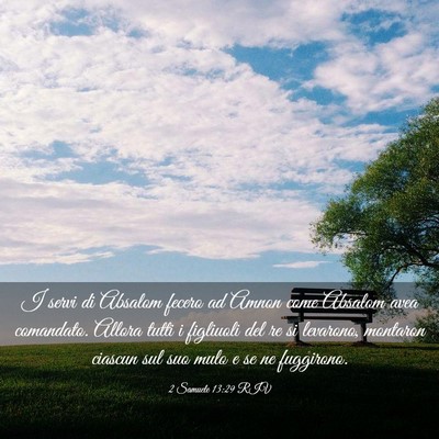 Picture 03 - 2 Samuele 13:29 RIV - I servi di Absalom fecero ad Amnon come Absalom - Bible Verse Picture