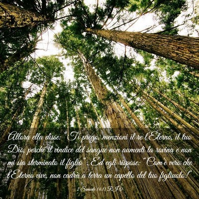 Picture 03 - 2 Samuele 14:11 RIV - Allora ella disse: “Ti prego, menzioni il re - Bible Verse Picture