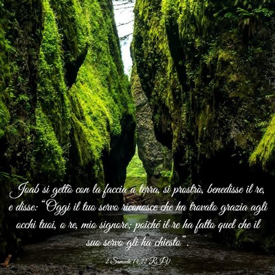 Picture 03 - 2 Samuele 14:22 RIV - Joab si gettò con la faccia a terra, si - Bible Verse Picture