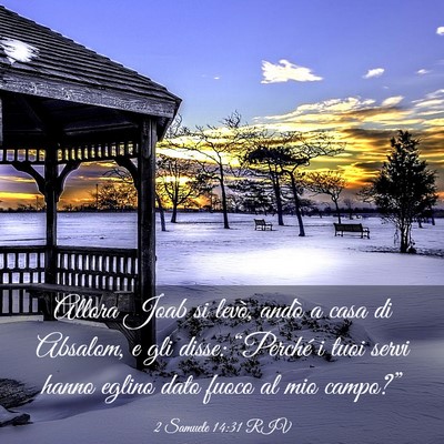 Picture 03 - 2 Samuele 14:31 RIV - Allora Joab si levò, andò a casa di Absalom, e - Bible Verse Picture
