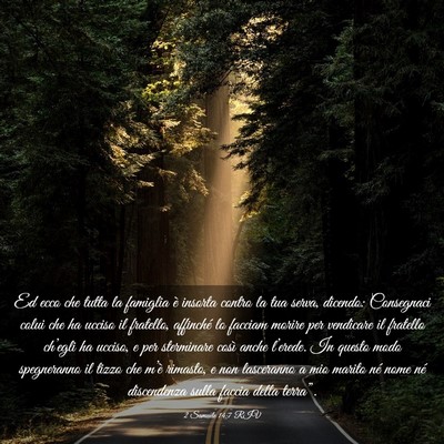 Picture 03 - 2 Samuele 14:7 RIV - Ed ecco che tutta la famiglia è insorta contro - Bible Verse Picture