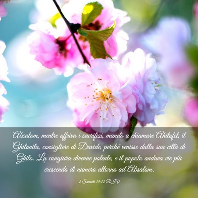Picture 03 - 2 Samuele 15:12 RIV - Absalom, mentre offriva i sacrifizi, mandò a - Bible Verse Picture