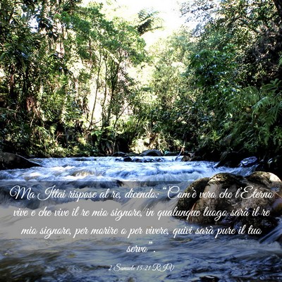 Picture 03 - 2 Samuele 15:21 RIV - Ma Ittai rispose al re, dicendo: “Com’è vero - Bible Verse Picture