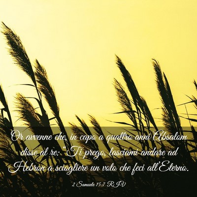 Picture 03 - 2 Samuele 15:7 RIV - Or avvenne che, in capo a quattro anni Absalom - Bible Verse Picture