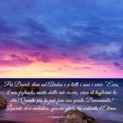 Picture 03 - 2 Samuele 16:11 RIV - Poi Davide disse ad Abishai e a tutti i suoi i - Bible Verse Picture