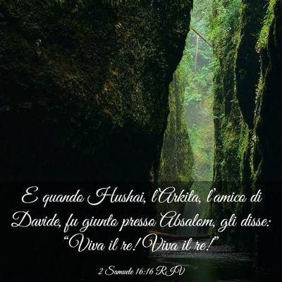 Picture 03 - 2 Samuele 16:16 RIV - E quando Hushai, l’Arkita, l’amico di Davide, - Bible Verse Picture