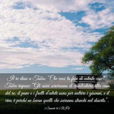 Picture 03 - 2 Samuele 16:2 RIV - Il re disse a Tsiba: “Che vuoi tu fare di - Bible Verse Picture