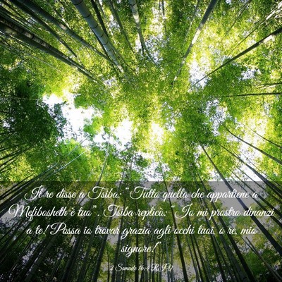 Picture 03 - 2 Samuele 16:4 RIV - Il re disse a Tsiba: “Tutto quello che - Bible Verse Picture