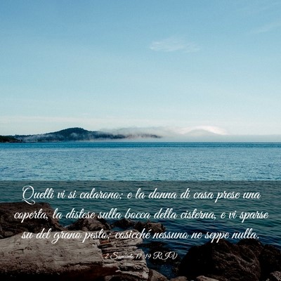 Picture 03 - 2 Samuele 17:19 RIV - Quelli vi si calarono; e la donna di casa prese - Bible Verse Picture