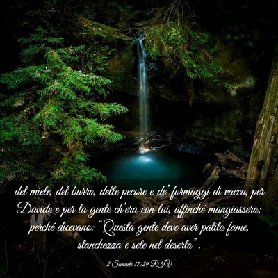 Picture 03 - 2 Samuele 17:29 RIV - del miele, del burro, delle pecore e de’ - Bible Verse Picture