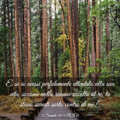 Picture 03 - 2 Samuele 18:13 RIV - E se io avessi perfidamente attentato alla sua - Bible Verse Picture
