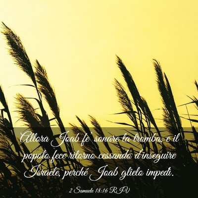 Picture 03 - 2 Samuele 18:16 RIV - Allora Joab fe’ sonare la tromba, e il popolo - Bible Verse Picture