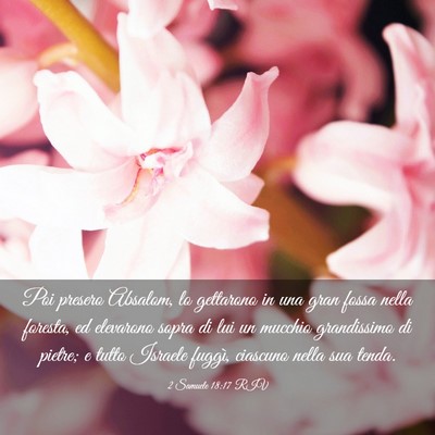 Picture 03 - 2 Samuele 18:17 RIV - Poi presero Absalom, lo gettarono in una gran - Bible Verse Picture