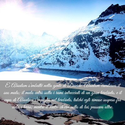 Picture 03 - 2 Samuele 18:9 RIV - E Absalom s’imbatté nella gente di Davide. - Bible Verse Picture