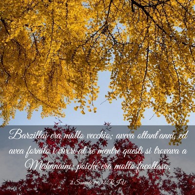 Picture 03 - 2 Samuele 19:32 RIV - Barzillai era molto vecchio; aveva ottant’anni, - Bible Verse Picture