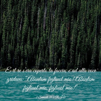 Picture 03 - 2 Samuele 19:4 RIV - E il re s’era coperto la faccia, e ad alta voce - Bible Verse Picture