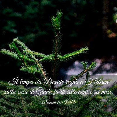 Picture 03 - 2 Samuele 2:11 RIV - Il tempo che Davide regnò a Hebron sulla casa di - Bible Verse Picture