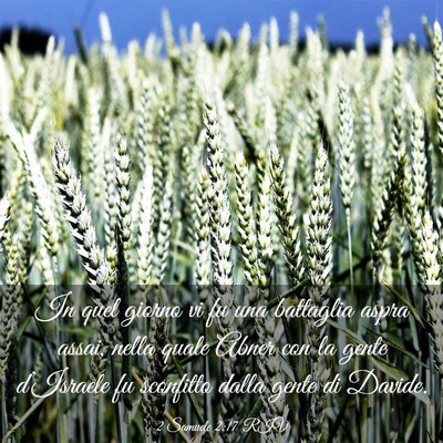 Picture 03 - 2 Samuele 2:17 RIV - In quel giorno vi fu una battaglia aspra assai, - Bible Verse Picture