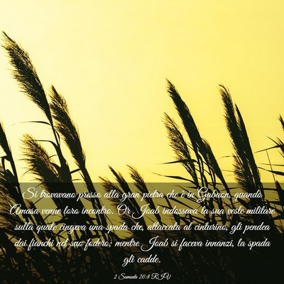 Picture 03 - 2 Samuele 20:8 RIV - Si trovavano presso alla gran pietra che è in - Bible Verse Picture