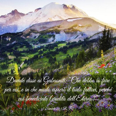Picture 03 - 2 Samuele 21:3 RIV - Davide disse ai Gabaoniti: “Che debbo io fare - Bible Verse Picture
