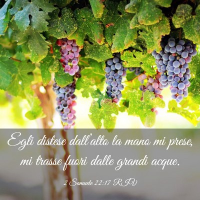 Picture 03 - 2 Samuele 22:17 RIV - Egli distese dall’alto la mano mi prese, mi - Bible Verse Picture