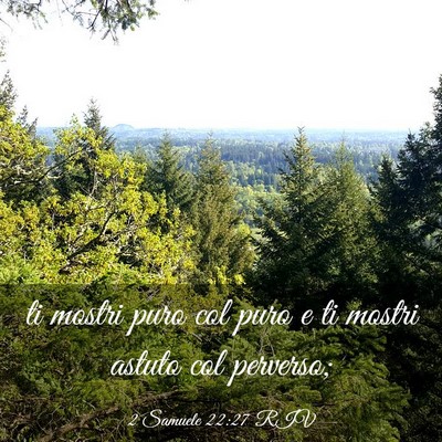 Picture 03 - 2 Samuele 22:27 RIV - ti mostri puro col puro e ti mostri astuto col - Bible Verse Picture