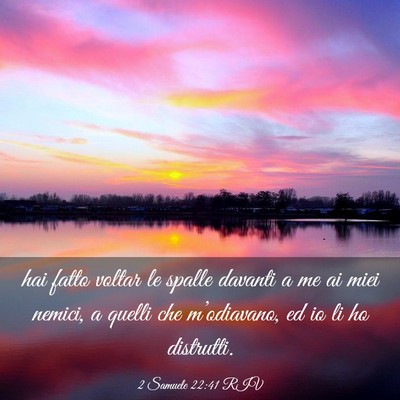 Picture 03 - 2 Samuele 22:41 RIV - hai fatto voltar le spalle davanti a me ai miei - Bible Verse Picture