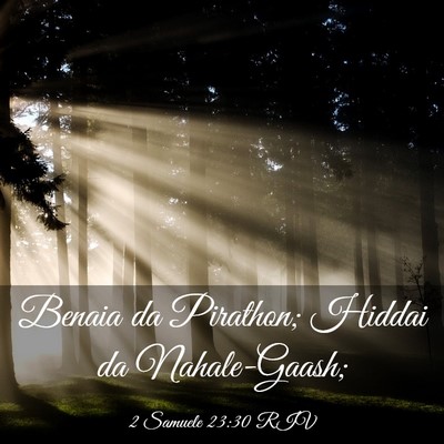 Picture 03 - 2 Samuele 23:30 RIV - Benaia da Pirathon; Hiddai da - Bible Verse Picture