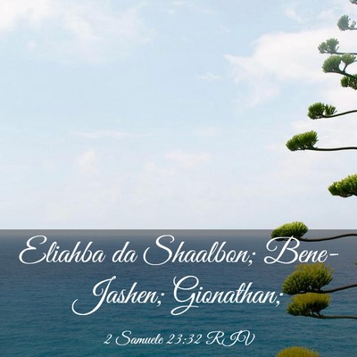 Picture 03 - 2 Samuele 23:32 RIV - Eliahba da Shaalbon; Bene-Jashen; - Bible Verse Picture