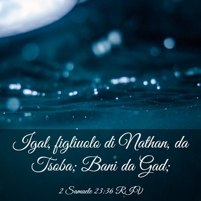 Picture 03 - 2 Samuele 23:36 RIV - Igal, figliuolo di Nathan, da Tsoba; Bani da - Bible Verse Picture