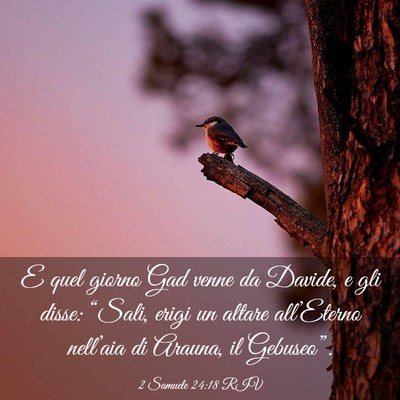 Picture 03 - 2 Samuele 24:18 RIV - E quel giorno Gad venne da Davide, e gli disse: - Bible Verse Picture