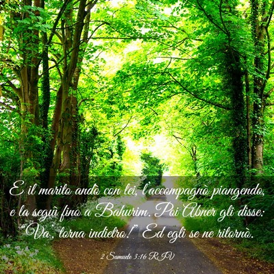 Picture 03 - 2 Samuele 3:16 RIV - E il marito andò con lei, l’accompagnò - Bible Verse Picture