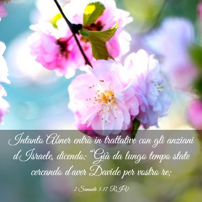 Picture 03 - 2 Samuele 3:17 RIV - Intanto Abner entrò in trattative con gli - Bible Verse Picture