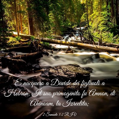 Picture 03 - 2 Samuele 3:2 RIV - E nacquero a Davide dei figliuoli a Hebron. Il - Bible Verse Picture
