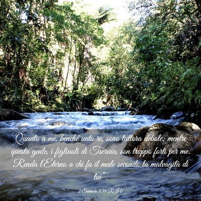 Picture 03 - 2 Samuele 3:39 RIV - Quanto a me, benché unto re, sono tuttora - Bible Verse Picture