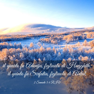 Picture 03 - 2 Samuele 3:4 RIV - il quarto fu Adonija, figliuolo di Hagghith; il - Bible Verse Picture