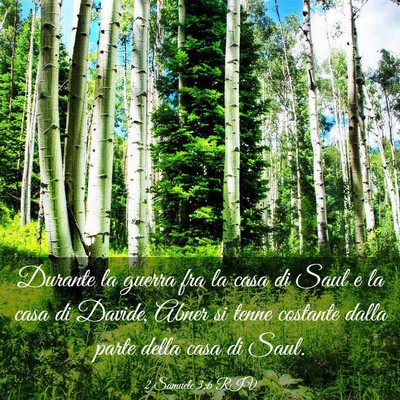 Picture 03 - 2 Samuele 3:6 RIV - Durante la guerra fra la casa di Saul e la casa - Bible Verse Picture