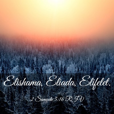Picture 03 - 2 Samuele 5:16 RIV - Elishama, Eliada, - Bible Verse Picture