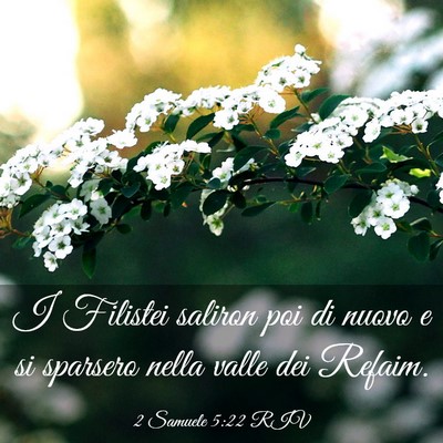 Picture 03 - 2 Samuele 5:22 RIV - I Filistei saliron poi di nuovo e si sparsero - Bible Verse Picture