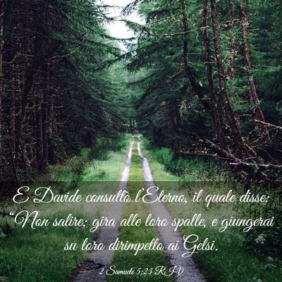 Picture 03 - 2 Samuele 5:23 RIV - E Davide consultò l’Eterno, il quale disse: - Bible Verse Picture